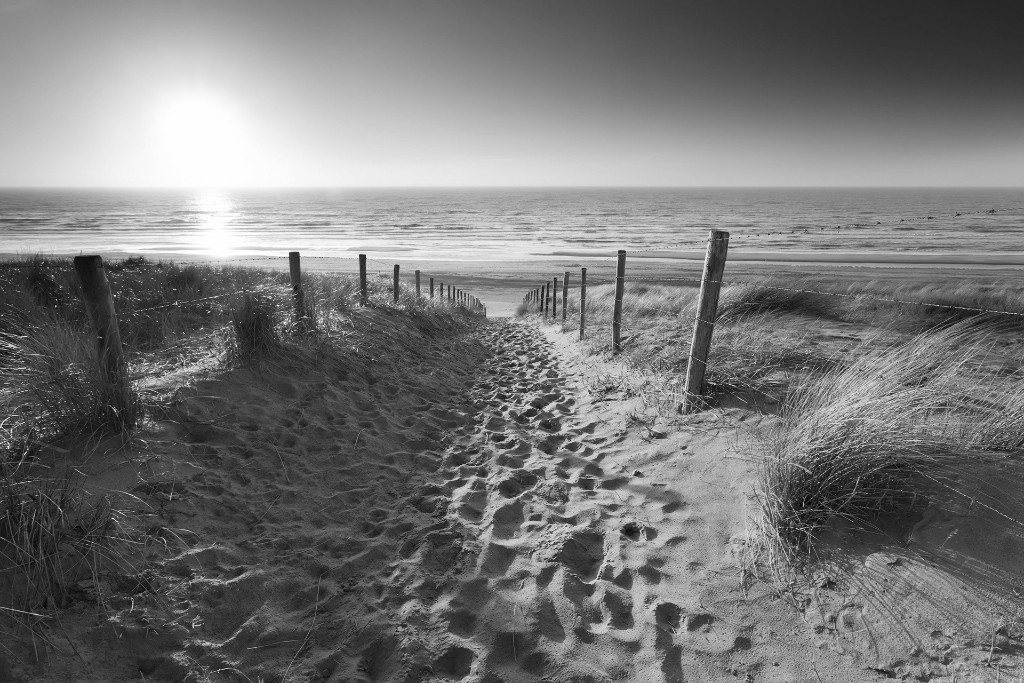 Dietist Zandvoort